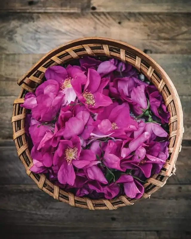 Haematococcus Ingredient